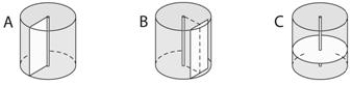    Use the figure above to answer the following two questions. -The letter  C  in the accompanying figure represents the ____ plane. A)  ​transverse B)  ​radial C)  ​tangential D)  ​elliptical E)  ​obtuse 
