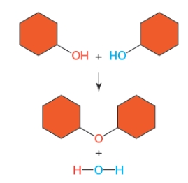 Figure 3.7B    -The figure above illustrates a ____ reaction that produces one ____ and a ____.   A)  condensation; hydroxyl; polymer B)  condensation; water molecule; polymer C)  cleavage; water molecule; monomer D)  rearrangement; water molecule; polymer E)  rearrangement; hydrogen ion; polymer
