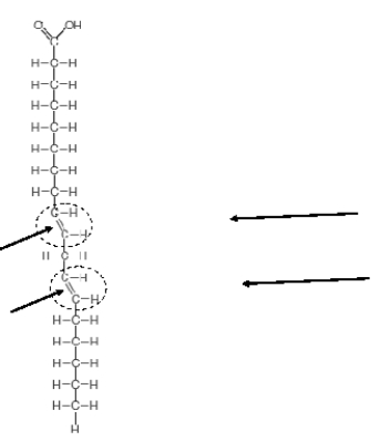 Figure 3.11 B    -What are the arrows pointing to in the accompanying figure?   A)  Double ionic bonds B)  Single ionic bonds C)  Double covalent bonds D)  Single covalent bonds E)  Hydrogen bonds
