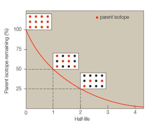 Fig. 16.15    -The accompanying figure illustrates that after two half-lives,____ percent of the parent radioisotope has decayed.   A) 100 B) 75 C) 50 D) 25 E) 0