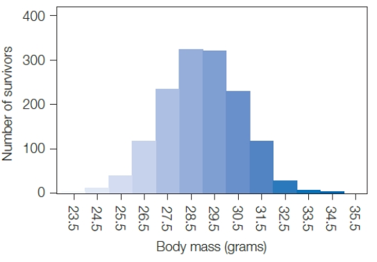 Figure 17.9    -The graph above shows the survival of sociable weavers as a function of body mass.Sociable weaver body mass seems to be an example of ____.   A)  directional selection B)  stabilizing selection C)  sexual selection D)  disruptive selection E)  artificial selection