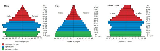   Figure 44.14 The following question refers to the age structure diagrams above. -Which statement reflects the age structure of these three countries?   A) India has the greatest proportion of older adults. B) The United States has the greatest proportion of young people. C) India has the greatest proportion of young people. D) China has the greatest proportion of young people. E) China has the greatest proportion of older adults.
