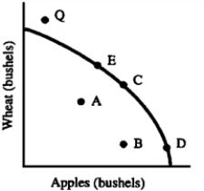 Figure 3-4    -Which of the following would make point Q in Figure 3-4 attainable? A) full-employment policies  B) a technological advance in the production of apples only  C) an increase in land available for agriculture  D) a transfer of available resources from apples to wheat