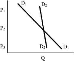 Figure 6-1    -In Figure 6-1, A) D₁ is more elastic than D₂ below P₂ and less elastic above P₂. B) D₁ is less elastic than D₂ at all prices. C) D₂ is less elastic than D₁ at all prices. D) D₂ is more elastic than D₂ above P₂ but less elastic below P₂.