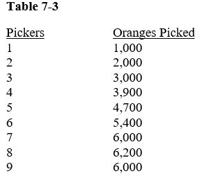 John Amaker owns orange groves and hires pickers for a two-week period as shown in Table 7-3.Table 7-3    -In Table 7-3, negative returns set in with picker A) 6. B) 7. C) 8. D) 9. E) There are no negative returns in this table.