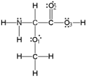 What is the molecular geometry around oxygen atom O<sub>1</sub>? ​   A) bent B) tetrahedral C) see-saw or distorted tetrahedral D) trigonal planar E) T-shaped