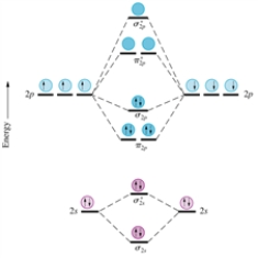 Given the molecular orbital diagram for dinitrogen (N<sub>2</sub>) excluding the K shells below and assuming all species have a similar ordering of their MO's,which of the following would be expected to be diamagnetic?   A) O<sub>2</sub> B) F<sub>2</sub>− C) O<sub>2</sub>2− D) B<sub>2</sub> E) Li<sub>2</sub><sup>+</sup>