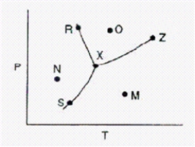 Below is a phase diagram for a substance.   What is the name for point Z on the diagram? A) normal boiling point. B) critical point. C) melting point. D) boiling point. E) triple point.