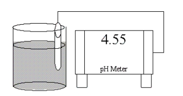 Which of the following salts is most likely to form an aqueous solution having the pH shown in the figure below?   A) NH<sub>4</sub>Cl B) NaBr C) K<sub>2</sub>CO<sub>3</sub> D) RbCN E) LiNO<sub>3</sub>