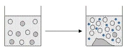 The figure below represents the result of adding which of the following aqueous solutions to a filtered,saturated solution of AgCl?   A) only NaCl(aq)  B) only HNO<sub>3</sub>(aq)  C) HCl(aq) or NaCl(aq)  D) only HCl(aq)  E) HCl(aq) or HNO<sub>3</sub>(aq) 