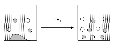 The figure below represents the results of adding NH<sub>3</sub> to a saturated solution of an ionic compound.Which of the following could the ionic compound be?   A) AgCl or CaF<sub>2</sub> B) CaF<sub>2</sub> C) Mg(OH) <sub>2</sub> D) AgCl E) SrCO<sub>3</sub>