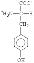 The side chain on the amino acid tyrosine   is classified as A) hydrophobic. B) nonpolar. C) a zwitterion. D) polar. E) asymmetric.