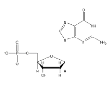 Which of the following 2'-deoxynucleotides contains the base thymine? A)    B)    C)    D)    E)   