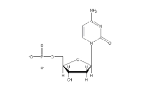Which of the following 2'-deoxynucleotides contains the base thymine? A)    B)    C)    D)    E)   