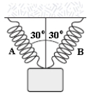 Two identical springs with spring constant 50 N/m support a 5.0 N weight as in the picture below.What is the change in length of each spring when the weight is hung on the springs?   A) 2.9 cm B) 5.0 cm C) 5.8 cm D) 7.5 cm E) 10.0 cm 