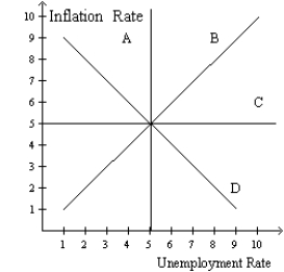 Figure 35-5   -Refer to figure 35-5.In this order,which curve is a long-run Phillips curve and which is a short-run Phillips curve? A) A,B B) A,D C) C,B D) None of the above is correct.
