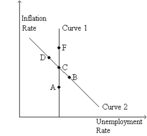 Figure 35-6 Use the graph below to answer the following questions.   -Refer to Figure 35-6.Curve 2 is the A) long-run Phillips curve. B) short-run Phillips curve. C) long-run aggregate demand curve. D) short-run aggregate demand curve.