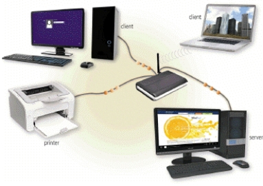   -Collections, such as that pictured in the accompanying figure, allow computers to share which of the following? A) resources B) systems C) links D) media