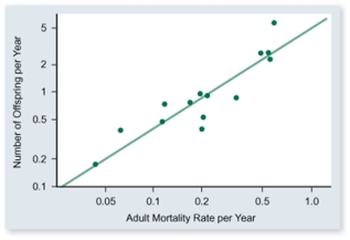What is the most reasonable conclusion that can be made from data graphed in the figure.   A) Adults that are likely to die soon have more offspring than those not likely to die. B) Adults with greater fecundity are less likely to die than adults with smaller fecundity. C) Adults with greater fecundity are more likely to die than adults with smaller fecundity. D) If the probability that an adult is likely to die is great,its fecundity rate is great. E) If the probability that an adult is likely to die is great,its fecundity rate is small.