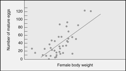 Male Mormon crickets choose larger females as mate choices.Which of the following statements best interprets the graph?   A) Larger females live longer and thus produce more eggs. B) Larger females are capable of storing sperm. C) Larger females reproduce earlier than smaller females. D) Larger females lay more eggs. E) Larger females defend themselves better.