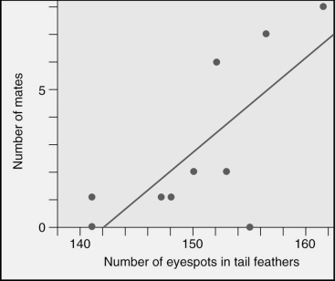 Pea fowl (peacocks and peahens) show sexual dimorphism.Which statement best describes the graphed data?   A) There are no peacocks with less than 140 eyespots. B) The fewer eyespots that a peacock has in his tail,the more mates he attracts. C) Actually eyespots have very little to do with mate-attracting activities. D) The more eyespots that a peacock has in his tail,the more mates he attracts. E) There are no peacocks with more than 165 eyespots.