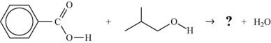 What is the structure of the ester that is formed in the following reaction?   A)    B)    C)    D)   