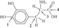 Identify the chiral carbon atom in L-dopa (used to treat Parkinson's disease) .   A) 1 B) 2 C) 3 D) 4