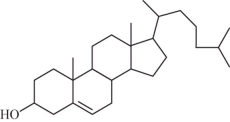 This is the structure of the steroid known as   A) cholesterol. B) estradiol. C) progesterone. D) testoseronel.