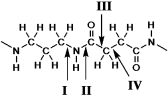 Which bond represents the  peptide  bond?   A) I B) II C) III D) IV