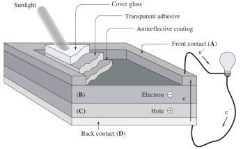 In this photovoltaic (solar) cell,   The n-type semiconductor is in the region labeled A) A B) B C) C D) D