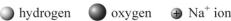Which is the best representation of the solvation of a sodium cation in water?   A)    B)    C)    D)   