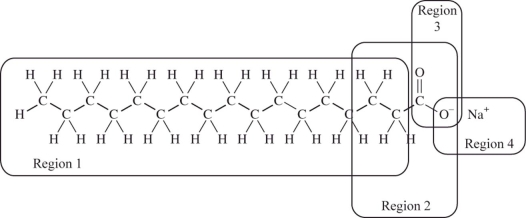 We cannot effectively clean nonpolar substances from our hands or clothing with water alone;we must add soap or detergent.The structure of a typical soap molecule is shown below.Which region of this molecule would dissolve in a nonpolar substance such as grease?   A) Region 1 B) Region 2 C) Region 3 D) Region 4