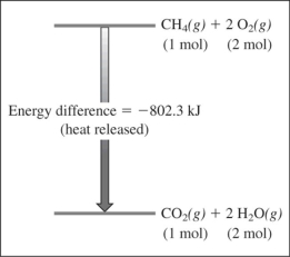 Based on this reaction and its energy profile,   CH<sub>4</sub>(g) + 2O<sub>2</sub>(g) → CO<sub>2</sub>(g) + 2H<sub>2</sub>O(g)  The reaction A) is exothermic. B) is endothermic. C) has a high activation energy. D) violates the first law of thermodynamics.