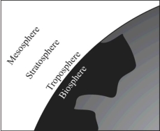 <strong>In the atmosphere over the Earth,where is the region with the highest concentration of ozone? </strong> A)troposphere B)biosphere C)mesosphere D)stratosphere