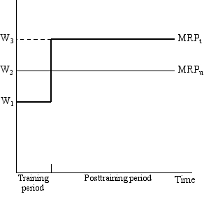 refer to the following diagram,in which MRP<sub>u</sub> refers to the marginal revenue product of an untrained worker,while MRP<sub>t</sub> refers to this worker's marginal revenue product as a result of a program of on-the-job training.    -In the case of specific training,the wage rate during the training period will be _____,while the post-training wage will be _____. A) W<sub>1</sub>; W<sub>3</sub> B) W<sub>1</sub>; between W<sub>2</sub> and W<sub>3</sub> C) W<sub>2</sub>; between W<sub>2</sub> and W<sub>3</sub> D) W<sub>2</sub>; W<sub>2</sub>