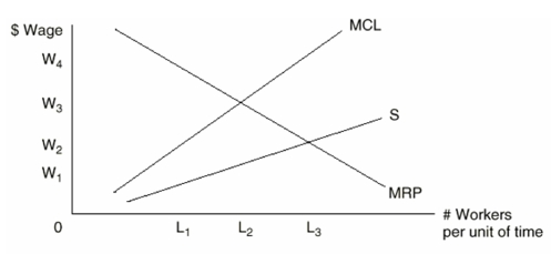 The Following Questions Refer to the graph below.   -If this labor market is competitive,what wage will workers be paid? A) W<sub>1</sub> B) W<sub>2</sub> C) W<sub>3</sub> D) W<sub>4</sub> E) A wage above W<sub>4</sub>