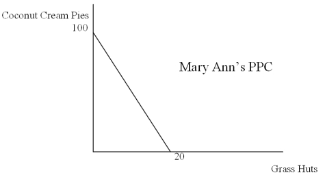 The Following Questions Refer to the graph below.   -For Mary Ann,the opportunity cost of 100 coconut cream pies is equal to how many grass huts? A) 5 B) 10 C) 20 D) 100 E) 120