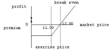 Which of the following statements best reflects the following profit profile of an option contract?   A)  The profile depicts the short call position of the option seller. B)  The profile depicts the long call position of the buyer of the option. C)  The profile depicts the short put position of the option seller. D)  The profile depicts the long put position of the buyer of the option. 