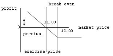 Which of the following statements best reflects the following profit profile of an option contract?   A)  The profile depicts the short call position of the option seller. B)  The profile depicts the long call position of the buyer of the option. C)  The profile depicts the short put position of the option seller. D)  The profile depicts the long put position of the buyer of the option. 