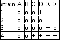  Assume that a series of compounds has been discovered in Neurospora.Compounds A-F appear to be members of an enzyme pathway.Several mutations have been identified and each of strains 1-4 contains a single mutation.Shown below are five possible pathways.Choose the pathway that best fits the data presented.[Growth in minimal media with supplements is shown by (+) , no growth is shown by (o) ] media supplement   A) A  \rarr  B  \rarr  C  \rarr  D  \rarr  E  \rarr  F B) A  \rarr  B  \rarr  C  \rarr  F  \rarr  D  \rarr  E C) F  \rarr  B  \rarr  C  \rarr  D  \rarr  A  \rarr  E D) A  \rarr  B \rarr  C  \rarr  D  \rarr  F \rarr  E E) A  \rarr  B  \rarr  F  \rarr  E  \rarr  C  \rarr  D 