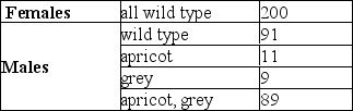A female mouse from a true-breeding wild-type strain was crossed to a male mouse with apricot eyes (ap)  and grey body (gy) .The F<sub>1</sub> mice were wild-type for both traits.When the F<sub>1</sub> were interbred, the F<sub>2</sub> were distributed as follows:   Which of the following statements is correct? A) ap and gy are unlinked. B) ap and gy are linked on an autosome and 10 map units apart. C) ap and gy are linked on an autosome and 20 map units apart. D) ap and gy are X-linked and 10 map units apart. E) ap and gy are X-linked and 20 map units apart.