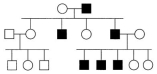 <strong>In the following pedigree, the indicated trait is caused by what type of allele?  </strong> A)autosomal recessive B)autosomal dominant C)X-linked recessive D)X-linked dominant E)Y-linked <div style=padding-top: 35px> 