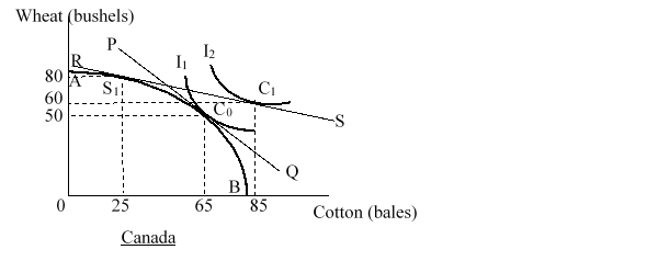 In the figure given below AB is the production-possibility curve of Canada. In the absence of trade, the price ratio is 1 bushel of wheat/bale of cotton as shown by the line PQ. The international price ratio is 0.25 bushels of wheat/bale of cotton as shown by the line RS. I<sub>1 </sub>and I<sub>2</sub> are the pre-trade and the post trade community indifference curves of Canada respectively. After Canada engages in free trade, it will:   A) produce at point S<sub>1</sub> and consume at point C<sub>1</sub>. B) produce and consume at point C<sub>0.</sub> C) produce at point S<sub>1</sub> and consume at point C<sub>0.</sub> D) produce and consume at point C1.