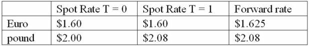 Calculate the euro-based return an Italian investor would have realized by investing €10,000 into a £50 British stock.One year after investment,the stock pays a £1 dividend,and sells for £54 the exchange rate has changed from €1.25 per pound to €1.30 per pound,although he sold £8,800 forward at the forward rate of €1.28 per pound. Spot exchange rates at the start and end of the year are shown in the table.  