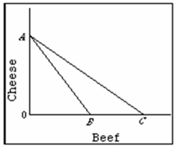 Refer to the diagram below in which line AB is Canadian production possibility curve and AC is its trading possibilities curve.The international exchange ratio between beef and cheese (terms of trade) :   A)  is the absolute value of slope of line AB. B)  is the absolute value of slope of line AC. C)  could lie anywhere between the absolute value of the slopes of lines AB and AC. D)  cannot be determined on the basis of this information.