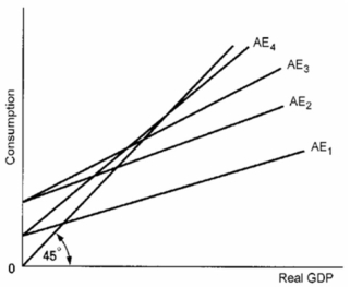 Refer to the below diagram,which aggregate expenditure (AE) schedule for a private closed economy implies the largest MPC?   A)  AE<sub>4</sub> B)  AE<sub>3</sub> C)  AE<sub>2</sub> D)  AE<sub>1</sub>