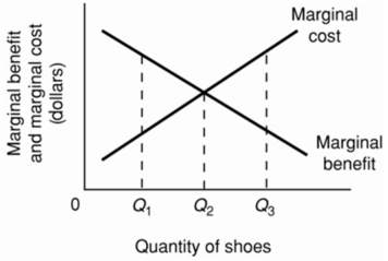   -Refer to the above diagram for athletic shoes.The optimal output of shoes: A)  is Q<sub>1</sub>. B)  is Q<sub>2</sub>. C)  is Q<sub>3</sub>. D)  is greater than Q<sub>3</sub>.