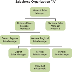  Figure 20-6A -Consider Figure 20-6A above.If a company chooses to employ its own salesforce,there are three basic organizational salesforce structures from which to choose. Salesforce Organization A  represents which type of salesforce organizational structure? A)  geographical B)  NAICS C)  product D)  market type E)  customer