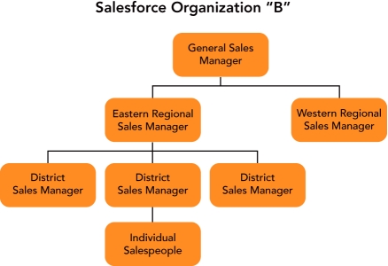   Figure 20-6B -Consider Figure 20-6B above.If a company chooses to employ its own salesforce,there are three basic organizational salesforce structures from which to choose. Salesforce Organization B  represents which type of salesforce organization structure? A)  geographical B)  NAICS C)  product D)  market type E)  customer