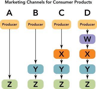  Figure 15-3 -Figure 15-3 above depicts the four most common marketing channels for consumer products and services. W  represents A)  consumers. B)  industrial users. C)  wholesalers. D)  agents or brokers. E)  retailers.